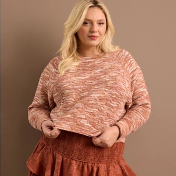 Arula Spice And Cream Variegated Crop Sweater NWT 1X - Picture 1 of 4